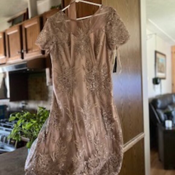 CINDERELLA FOR A NIGHT! - Picture 2 of 5